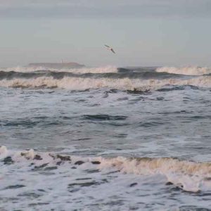 دانلود آهنگ اگه نهنگ بودم امشب میرفتم ساحل